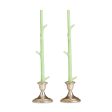 Maple Stick Candles   Key Lime   Pair Online Sale