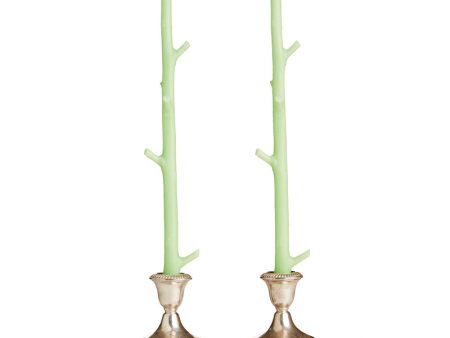 Maple Stick Candles   Key Lime   Pair Online Sale