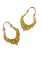 Jina Brass Earrings Online now