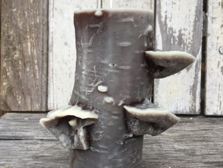 The 72 Hour Birch Pillar   Dark Chocolate on Sale